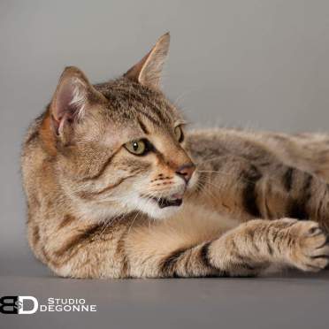 FB_IMG_1508956489485