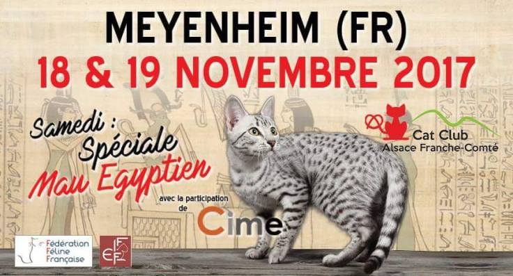 received_1855359688035513