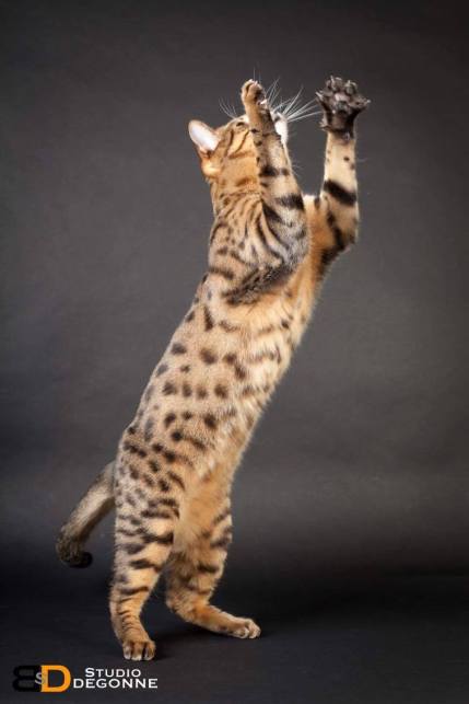 received_1924494127817687