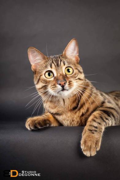 received_1924494214484345