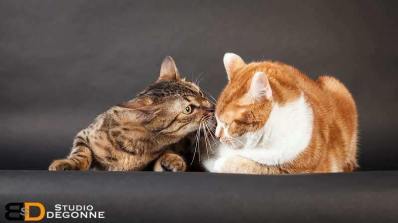 received_1924869524446814