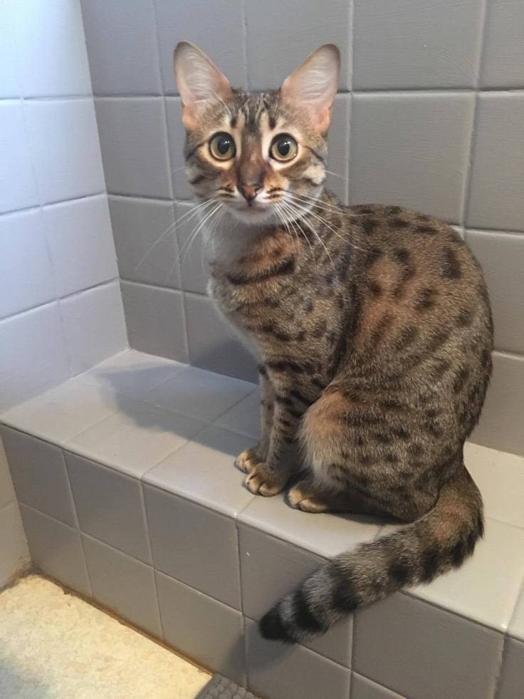 received_10155907236928331