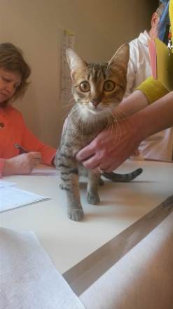 received_10211254942712472