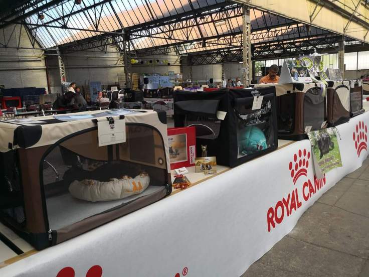 FB_IMG_1524461797597