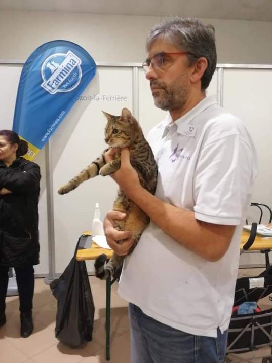 FB_IMG_1545080538267