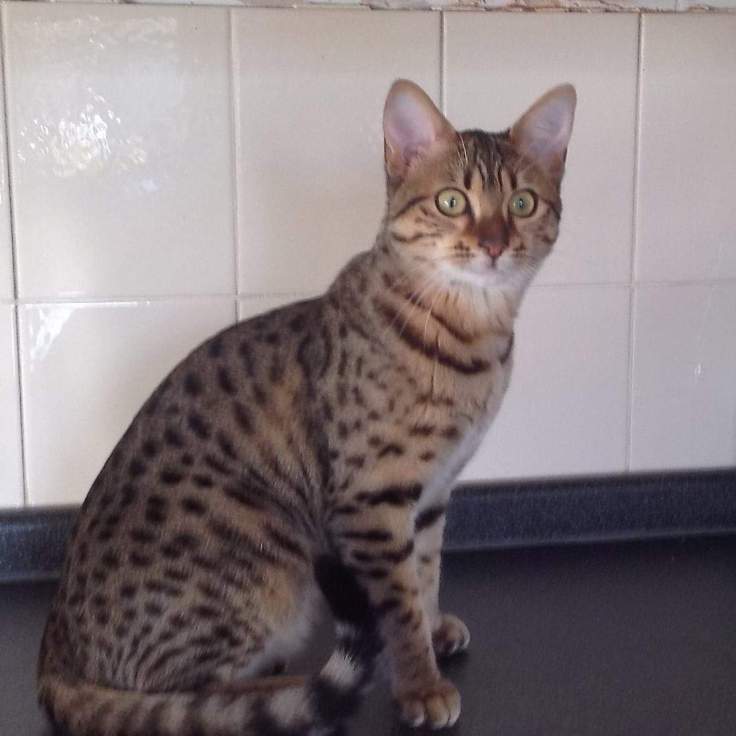 FB_IMG_1549046992053