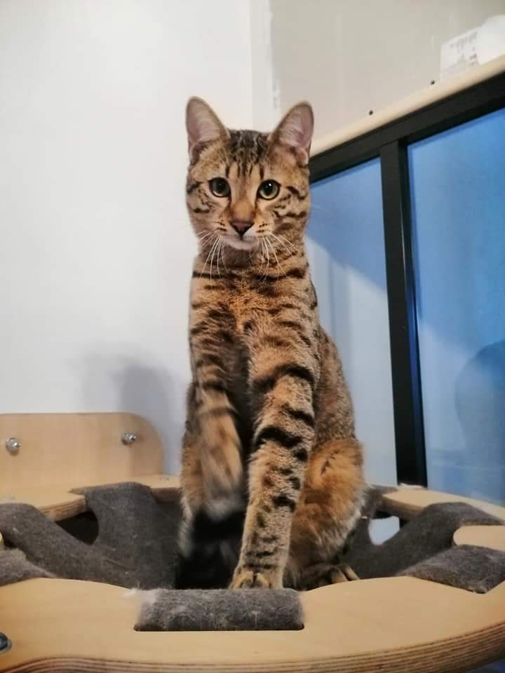 FB_IMG_1549047175235