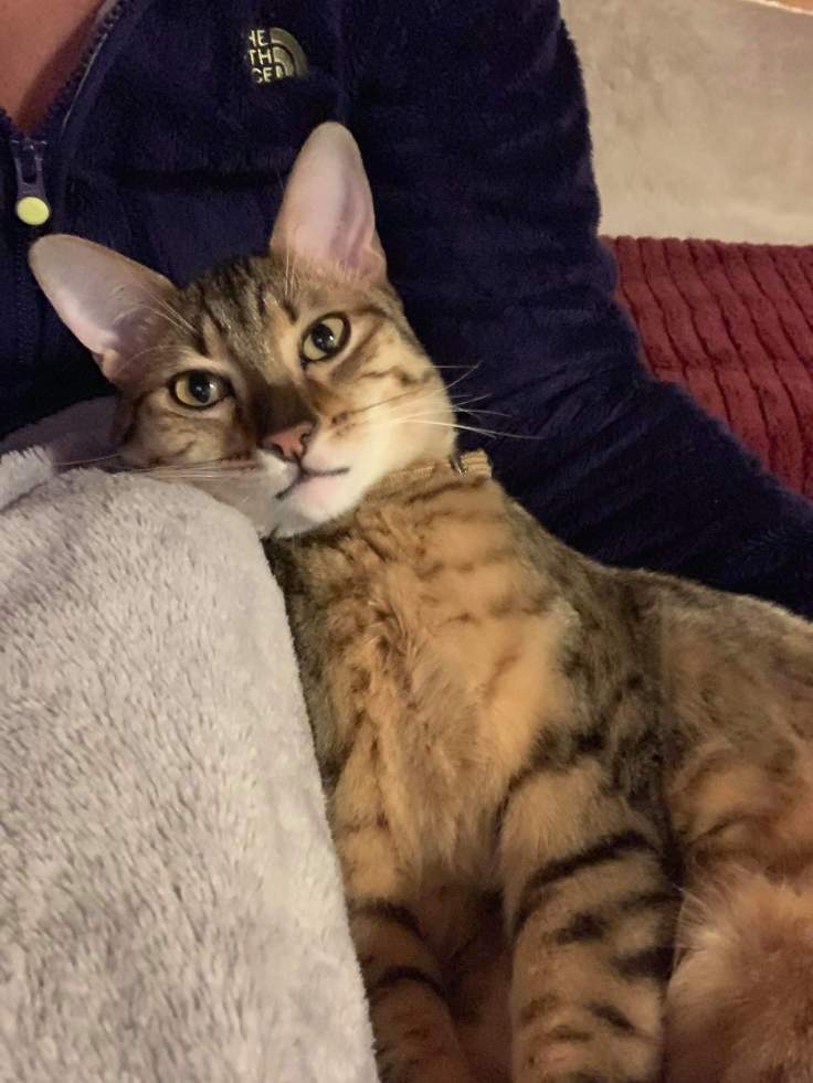 received_361107391140760