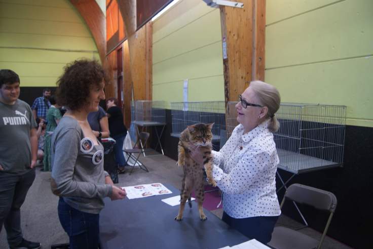 received_413931192590932