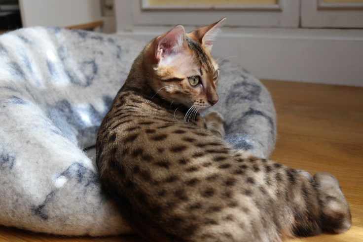 S 2019-09-14 IMG_8360