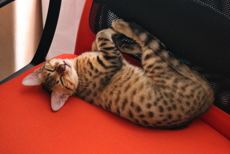 S 2019-09-15 IMG_8376