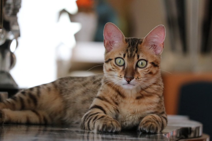 S 2019-09-18 IMG_8384