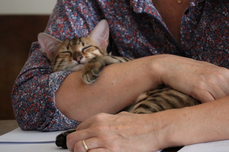 S 2019-09-18 IMG_8387