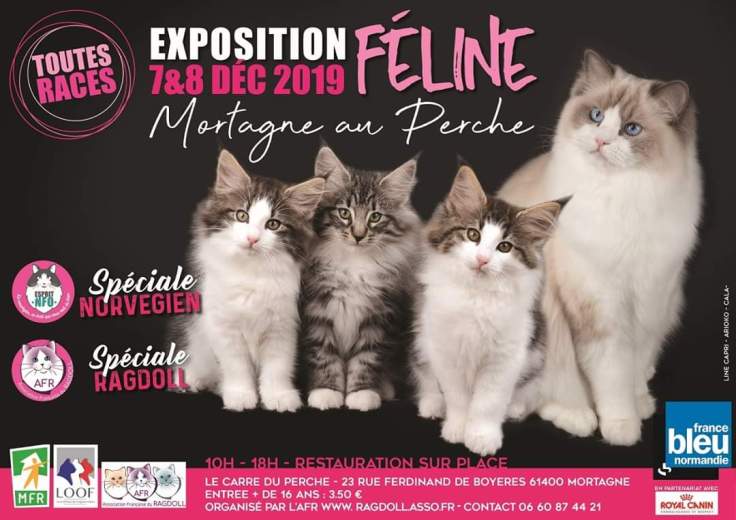 FB_IMG_1573402434934