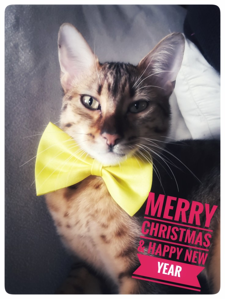 IMG_20191222_160521-01