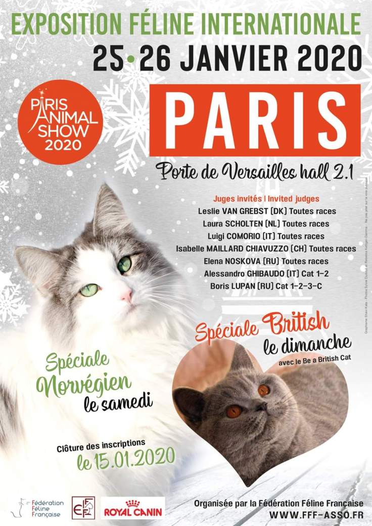 FB_IMG_1578083689185