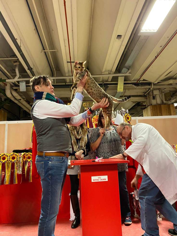 received_558695874858935