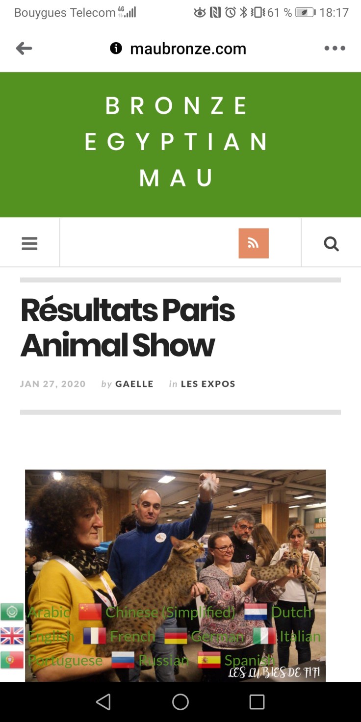 Screenshot_20200130_181749_com.facebook.katana