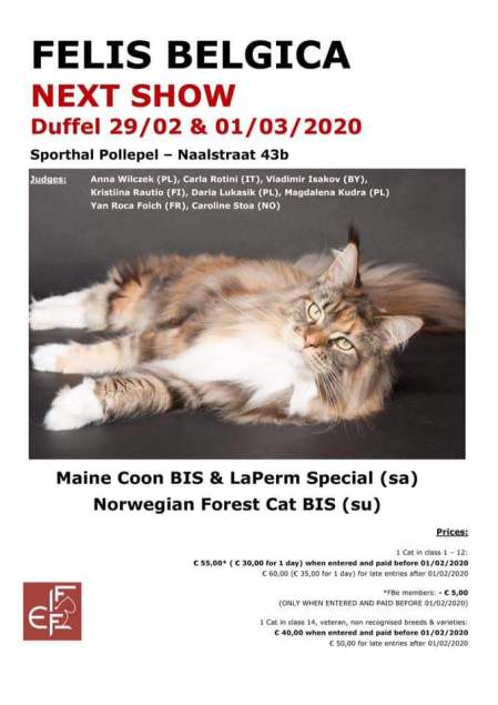 FB_IMG_1581339284524