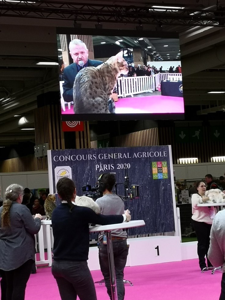 IMG_20200222_111431_1