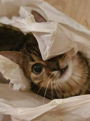 received_2453614861528481