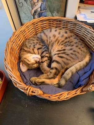 received_481739059415859