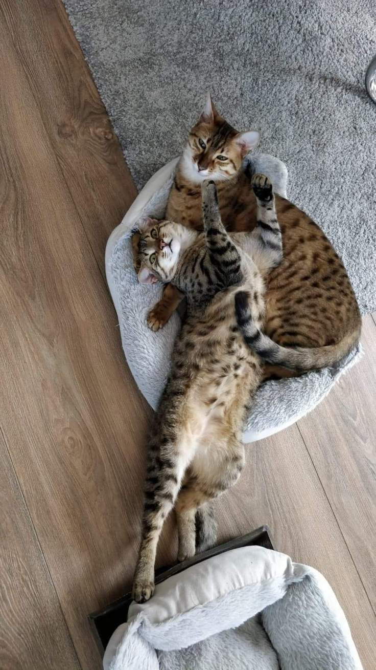 received_669183996982398