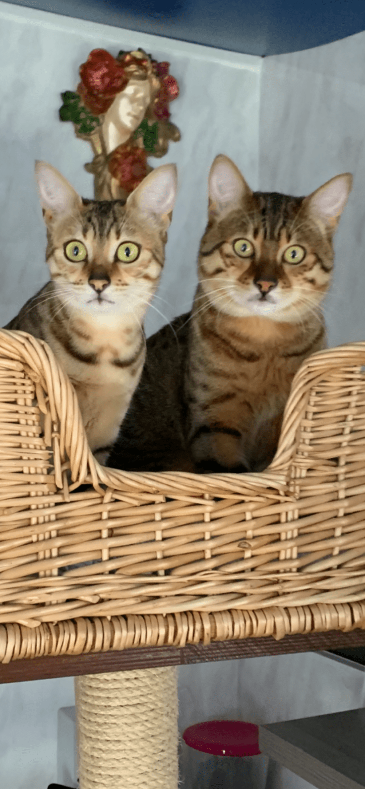 received_1409700532547426