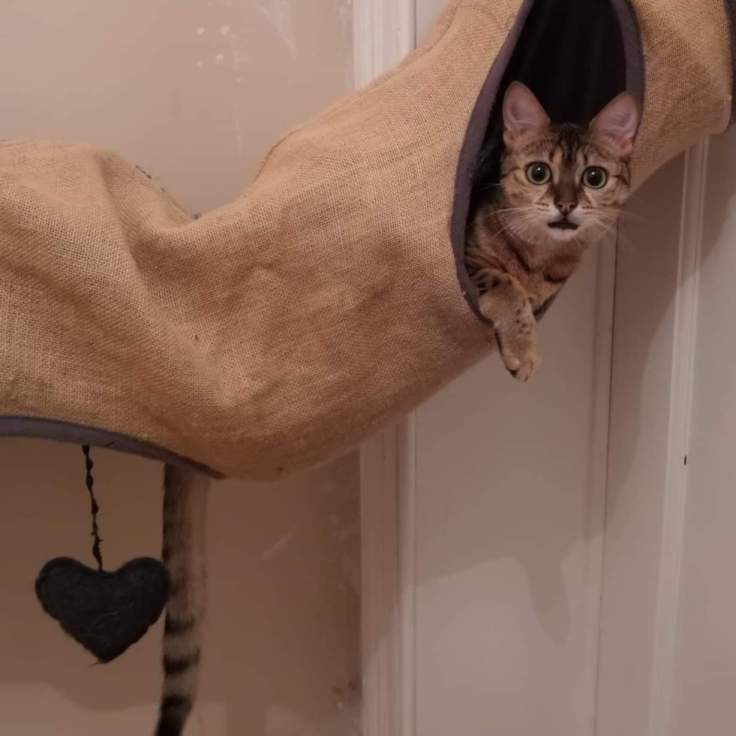 received_265513944707288