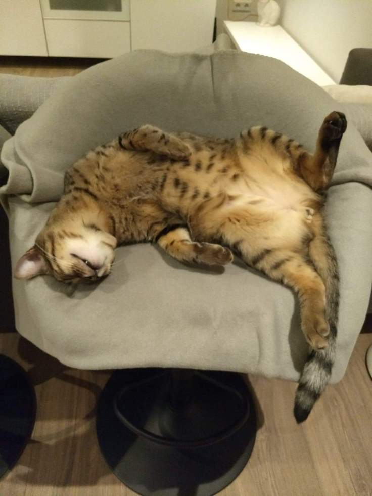 received_3005438912842596