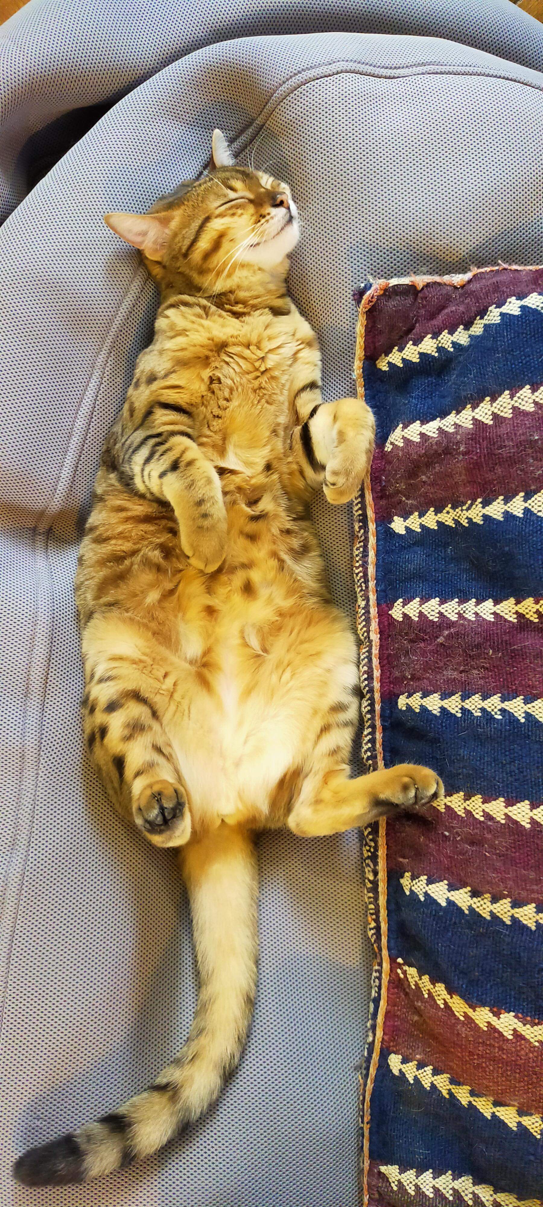 received_965764637172505